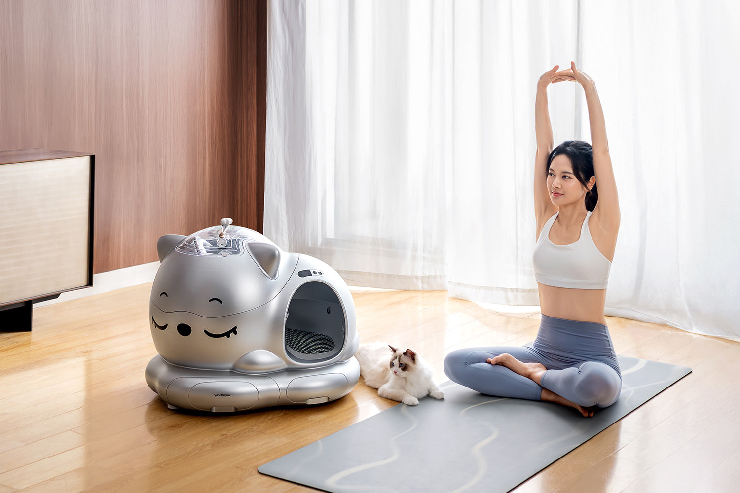 Enhancing Your Cat's Well-Being with WooHuloo