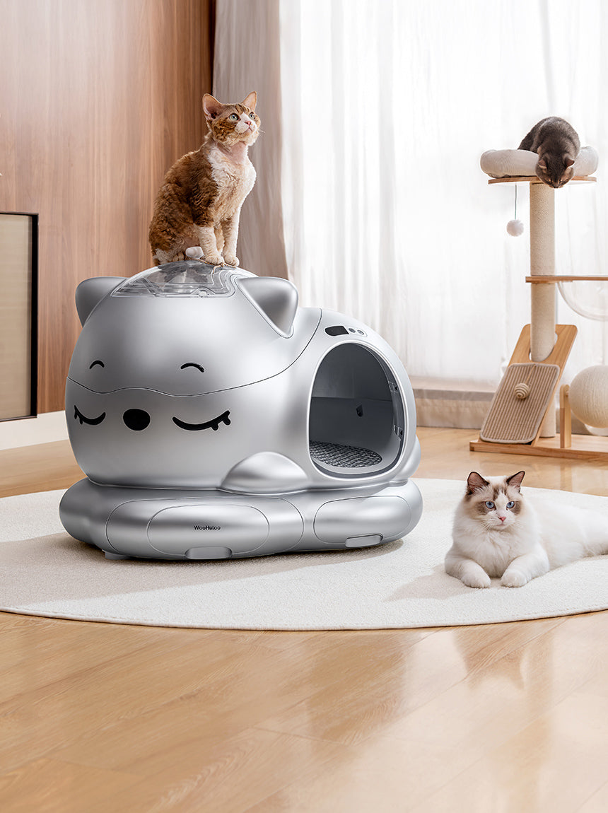 Woohuloo Smart Cat Litter Box | Auto Clean & Odor Control