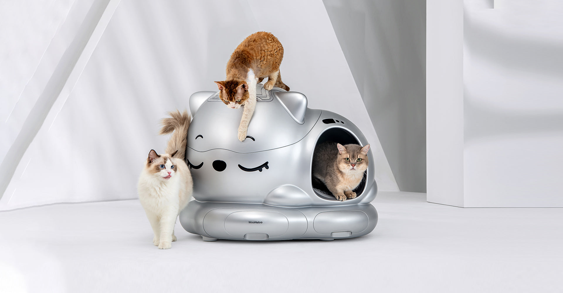 Woohuloo Smart Cat Litter Box | Auto Clean & Odor Control